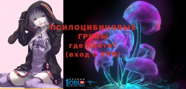 винт Гусь-Хрустальный