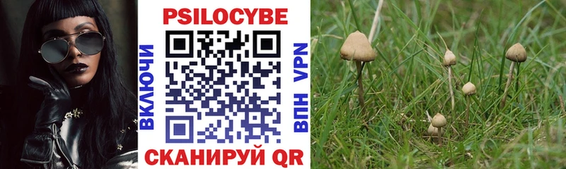 Псилоцибиновые грибы прущие грибы  Верхотурье 